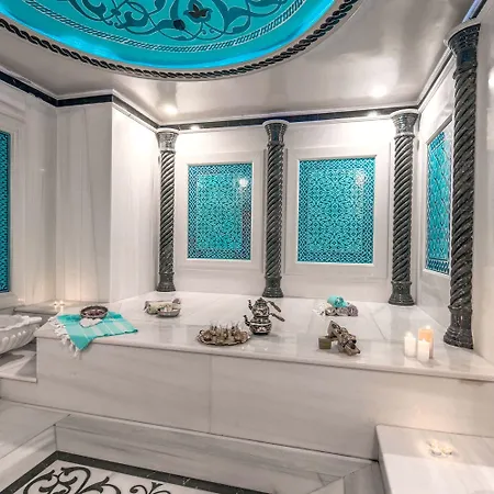 Seven Hills Palace & Hotel Provincia di Istanbul