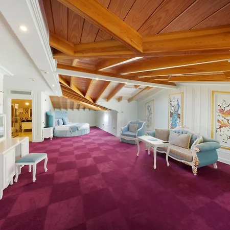 Hotel Seven Hills Palace & 4*