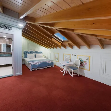 Seven Hills Palace & Hotel Provincia di Istanbul
